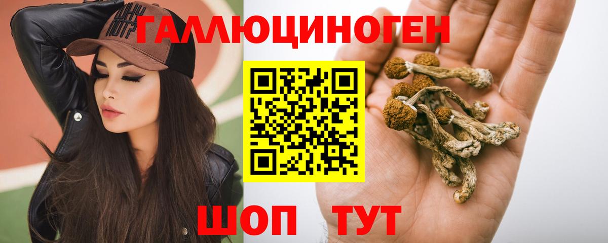 Галлюциногенные грибы Psilocybine cubensis Элиста